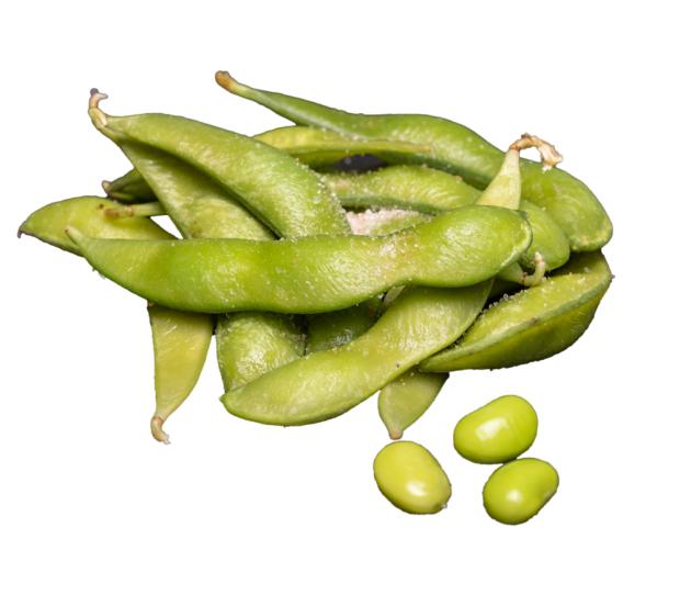 8511269A1.png